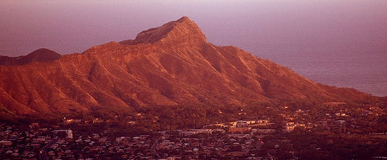 掲載者プロフィール